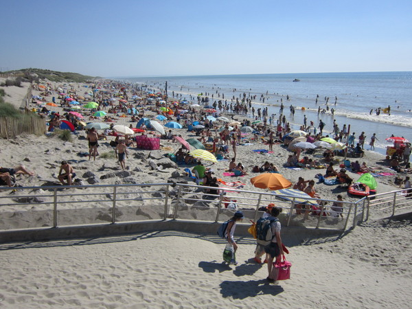 Plage de Picardie