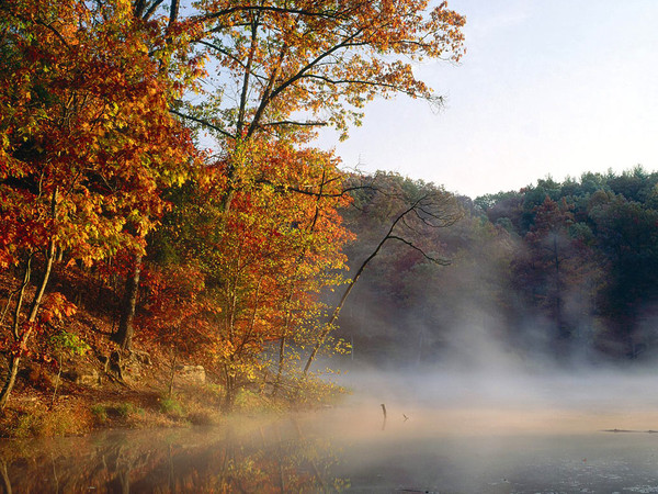 Paysage d'automne