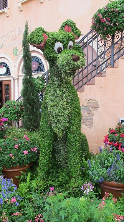 Sculture florale- Topiaire