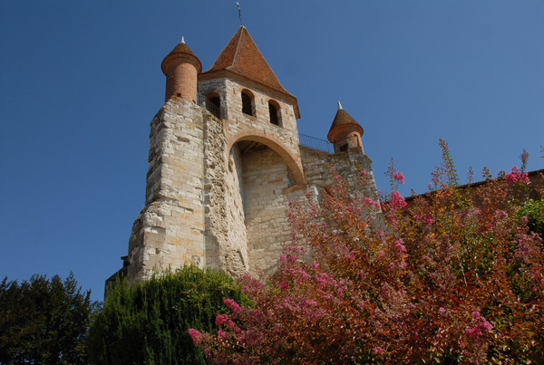 Beau village d' Auvillar