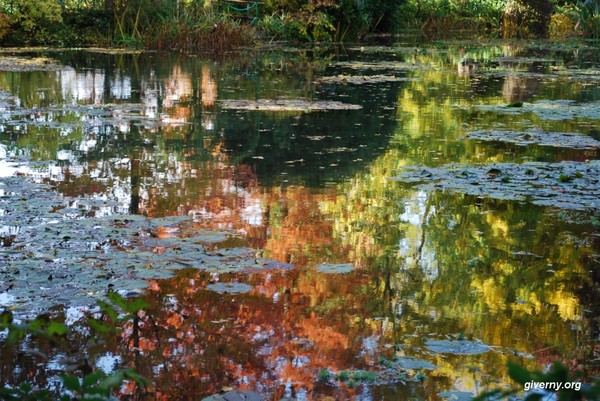 Paysage d'automne