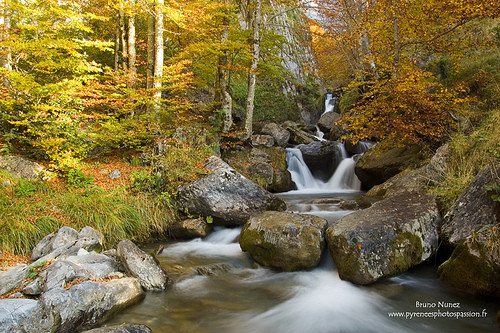 Paysage d'automne