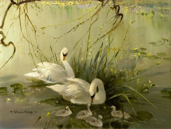 Superbes peintures  d'oiseaux 