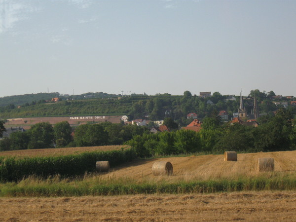 Le  Mont Sainte Odile - Pélerinage 2012