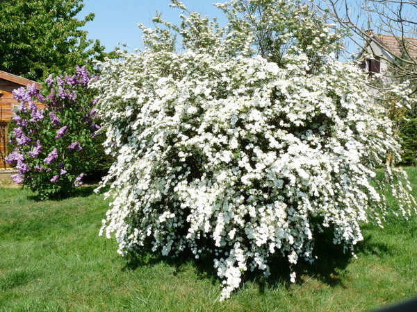 Paysages -Printemps -Eté