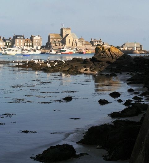 Plage de Basse Normandie (Manche)