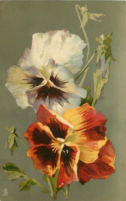 Fleurs de Catherine Klein