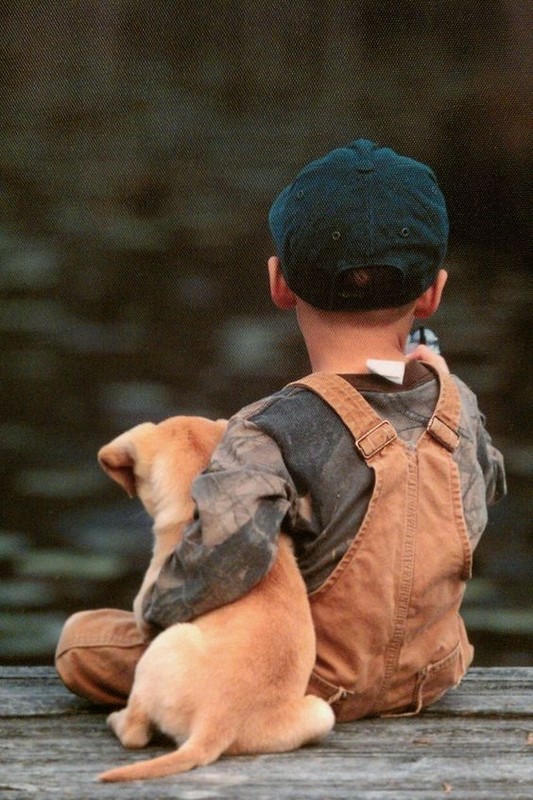 Enfant et leur animal