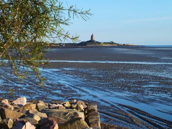 Plage de Basse Normandie (Manche)