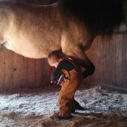 Enfant et leur animal