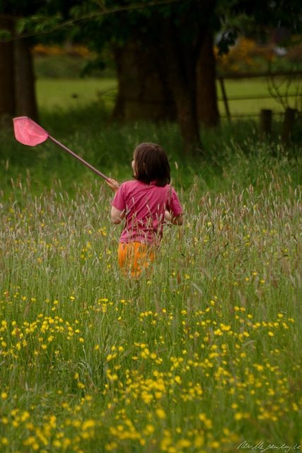 Le temps de l'innocence