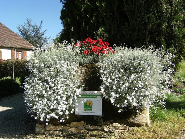 Beau village de Saint-Amand-de-Coly