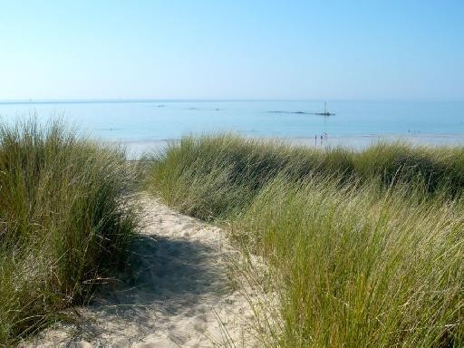 Plage de Basse Normandie (Manche)