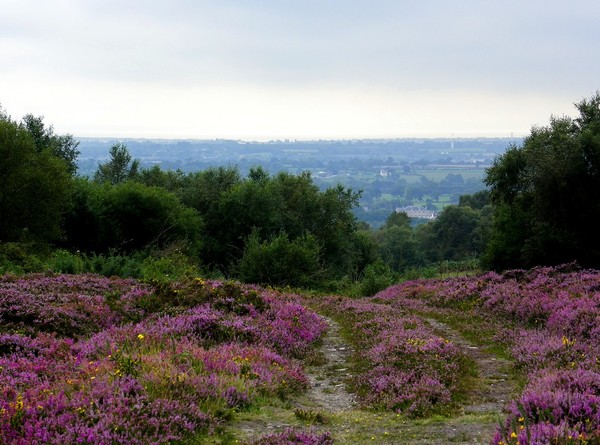 Paysages -Printemps -Eté