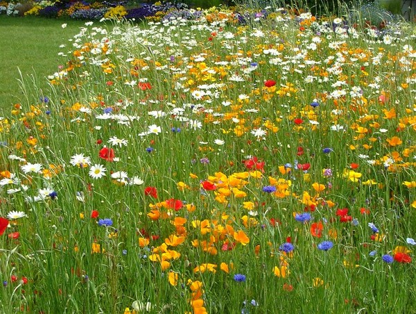 Paysages -Printemps -Eté