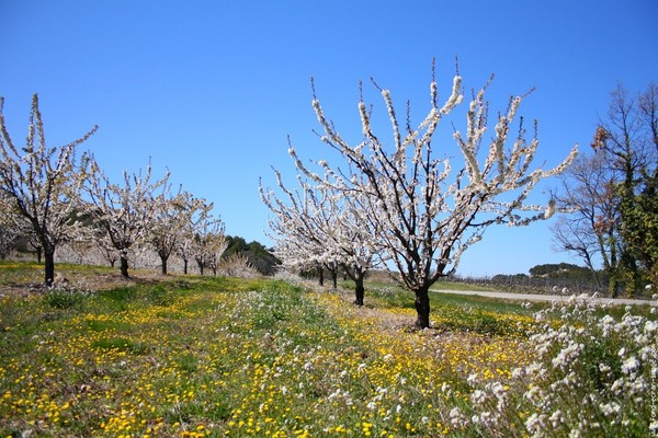 Paysages -Printemps -Eté