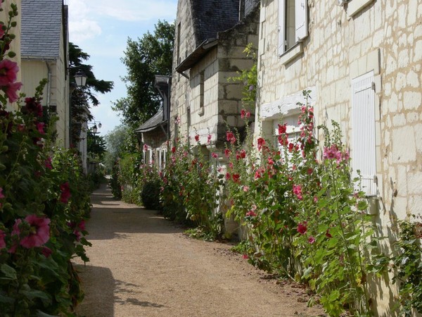 Beau village de Candes-Saint-Martin 