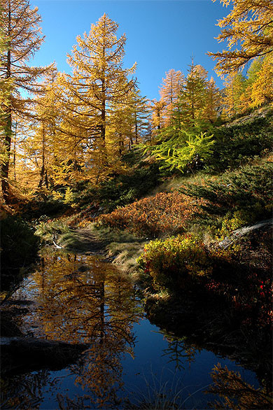 Paysage d'automne