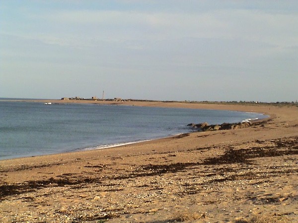 Plage de Basse Normandie (Manche)