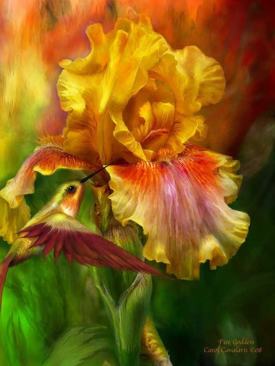 Fleurs de Carol Cavalaris