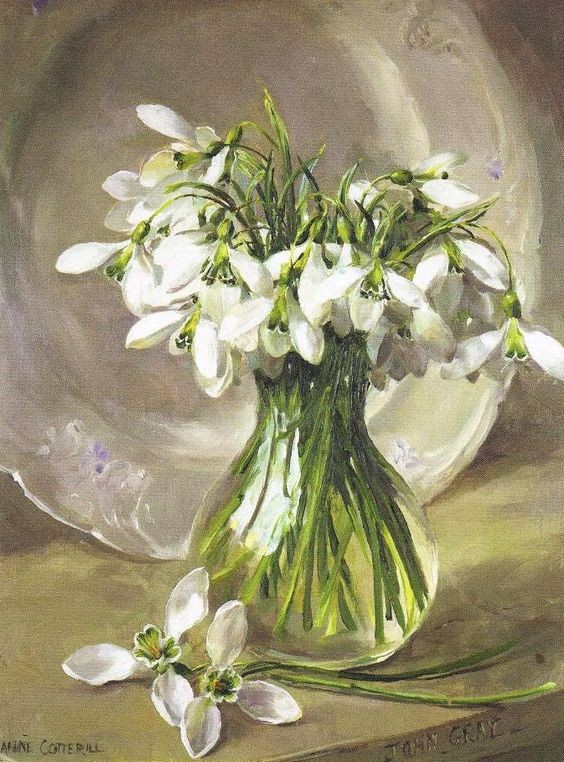 Fleurs de Anne Cotterill