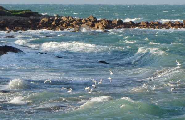 Plage de Basse Normandie (Manche)