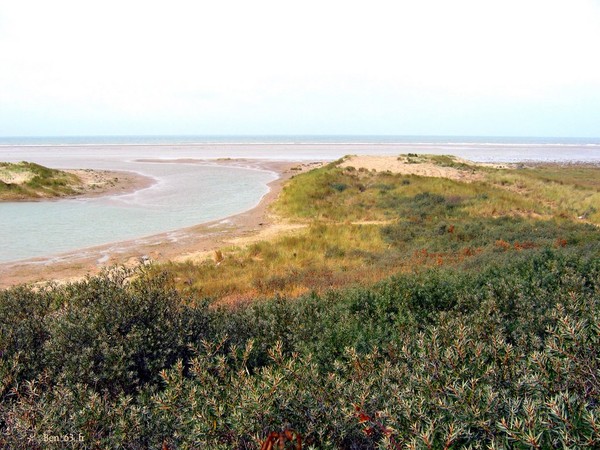 Plage du Nord - Pas de Calais