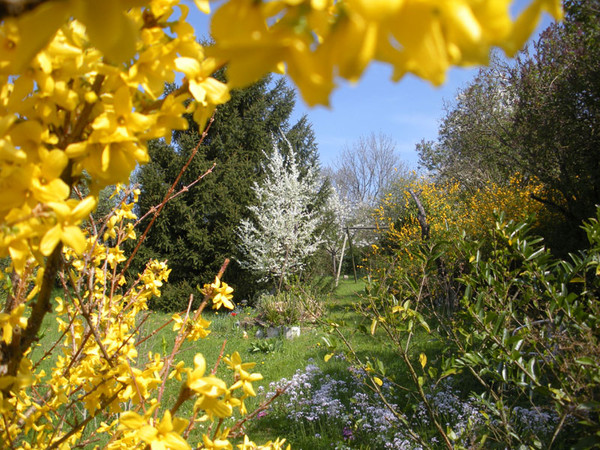 Paysages - Printemps-Eté