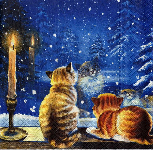 Chats de Noël