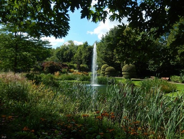 Parc  au printemps