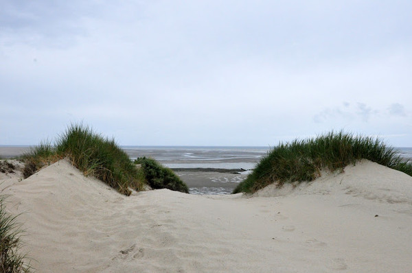 Plage du Nord - Pas de Calais