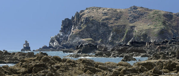 Plage de Basse Normandie (Manche)