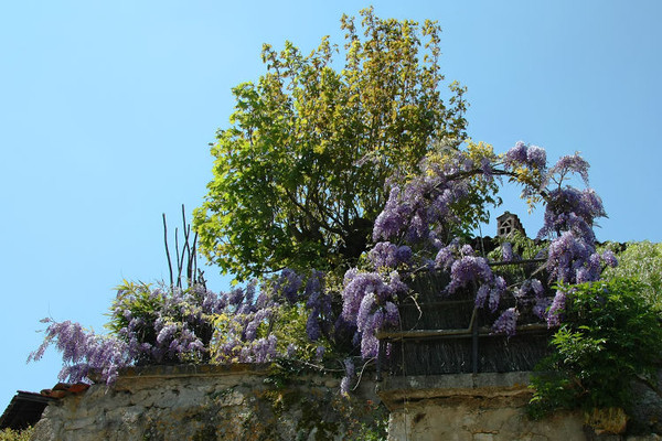 Beau village de Pérouges