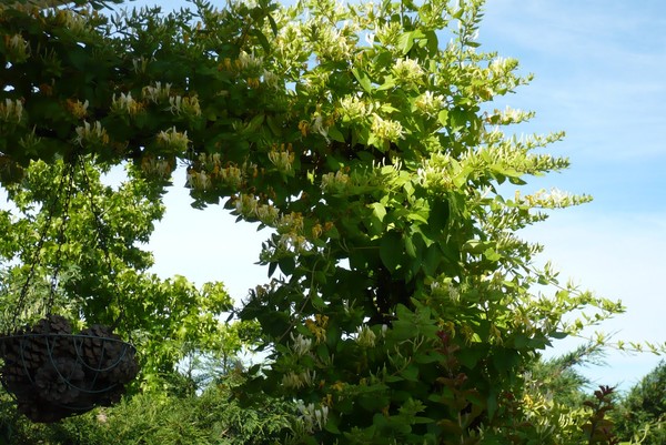 Paysages -Printemps -Eté