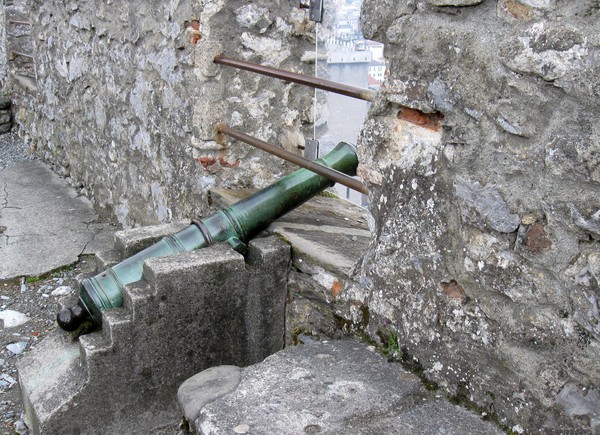 Le Chateau fort et le musée pyrénéen de Lourdes