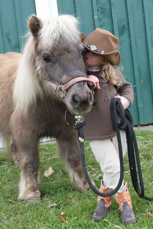 Enfant et leur animal