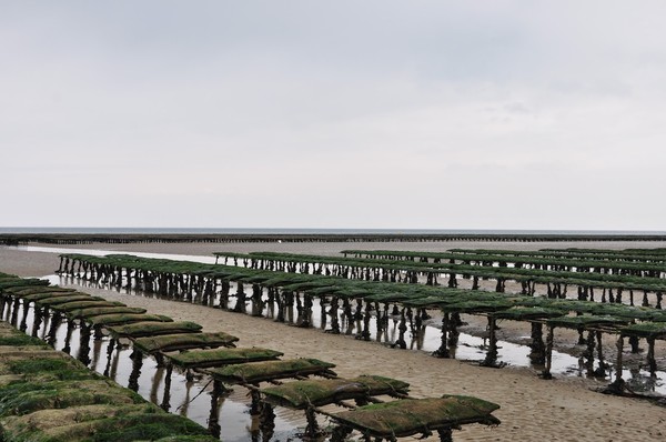 Plage de Normandie(Calvados)