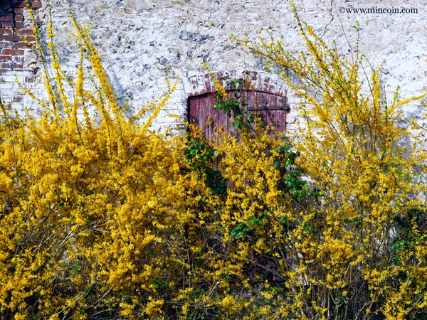 Paysages -Printemps -Eté