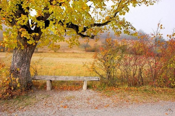 Paysage d'automne