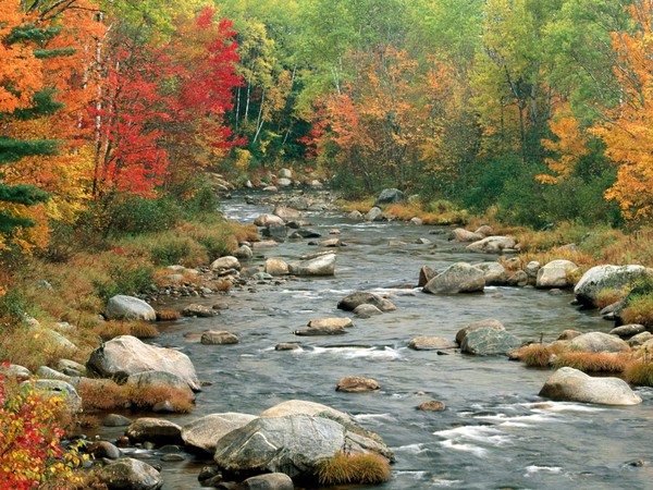 Paysage d'automne