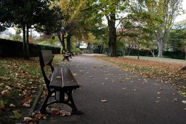 Paysage d'automne