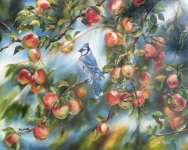 Superbes peintures d'oiseaux