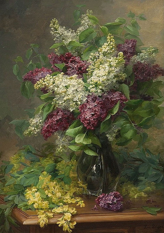 Fleurs de Leo Louppe