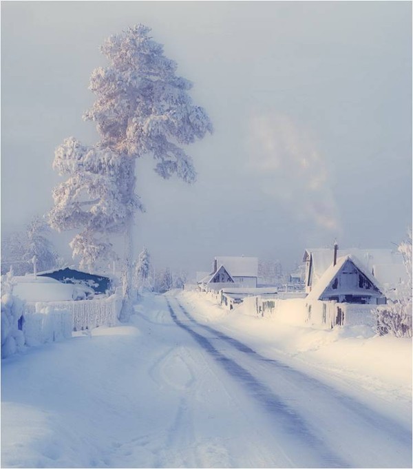 Paysage d'hiver