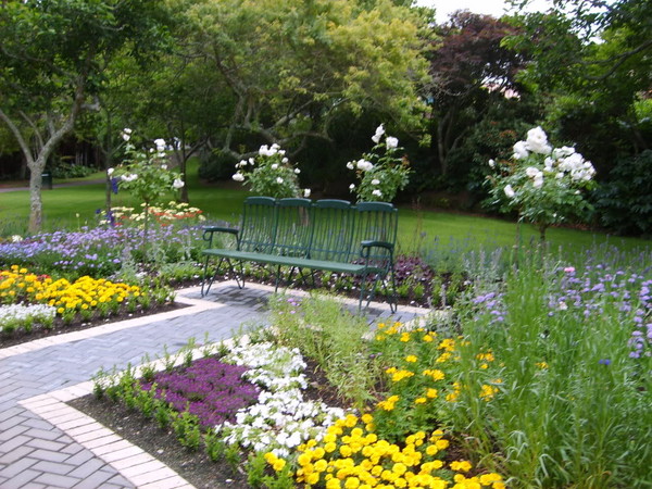 Fleurs et paysages ( printemps-été)