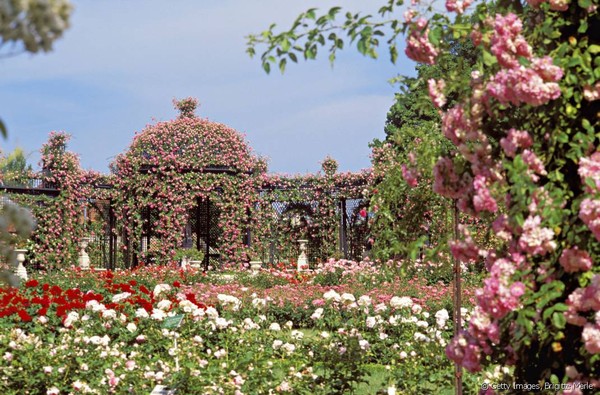 Parc et jardin  fleuris 