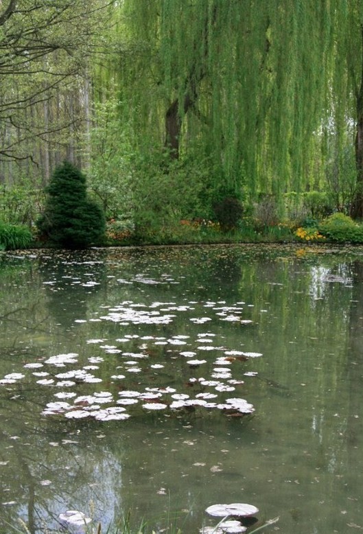 Paysages -Printemps -Eté