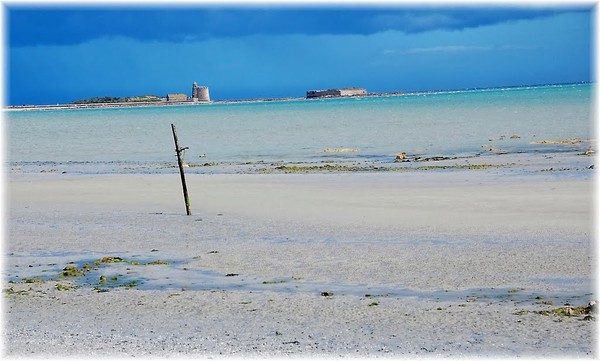 Plage de Basse Normandie (Manche)