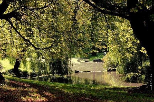 Parc  au printemps