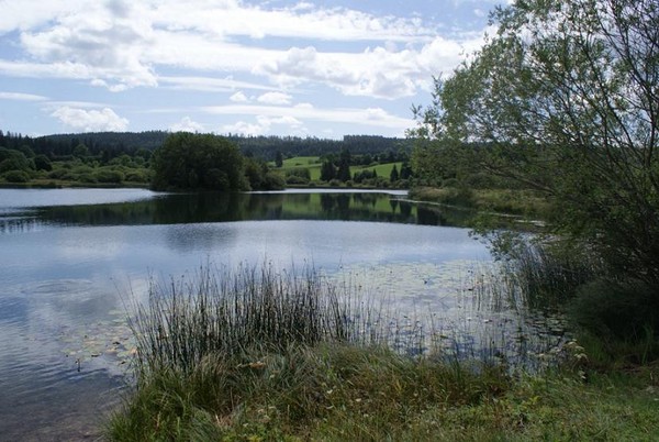 Paysages -Printemps -Eté